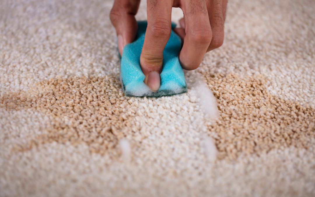 This Is How to Remove Old Stains From Carpet