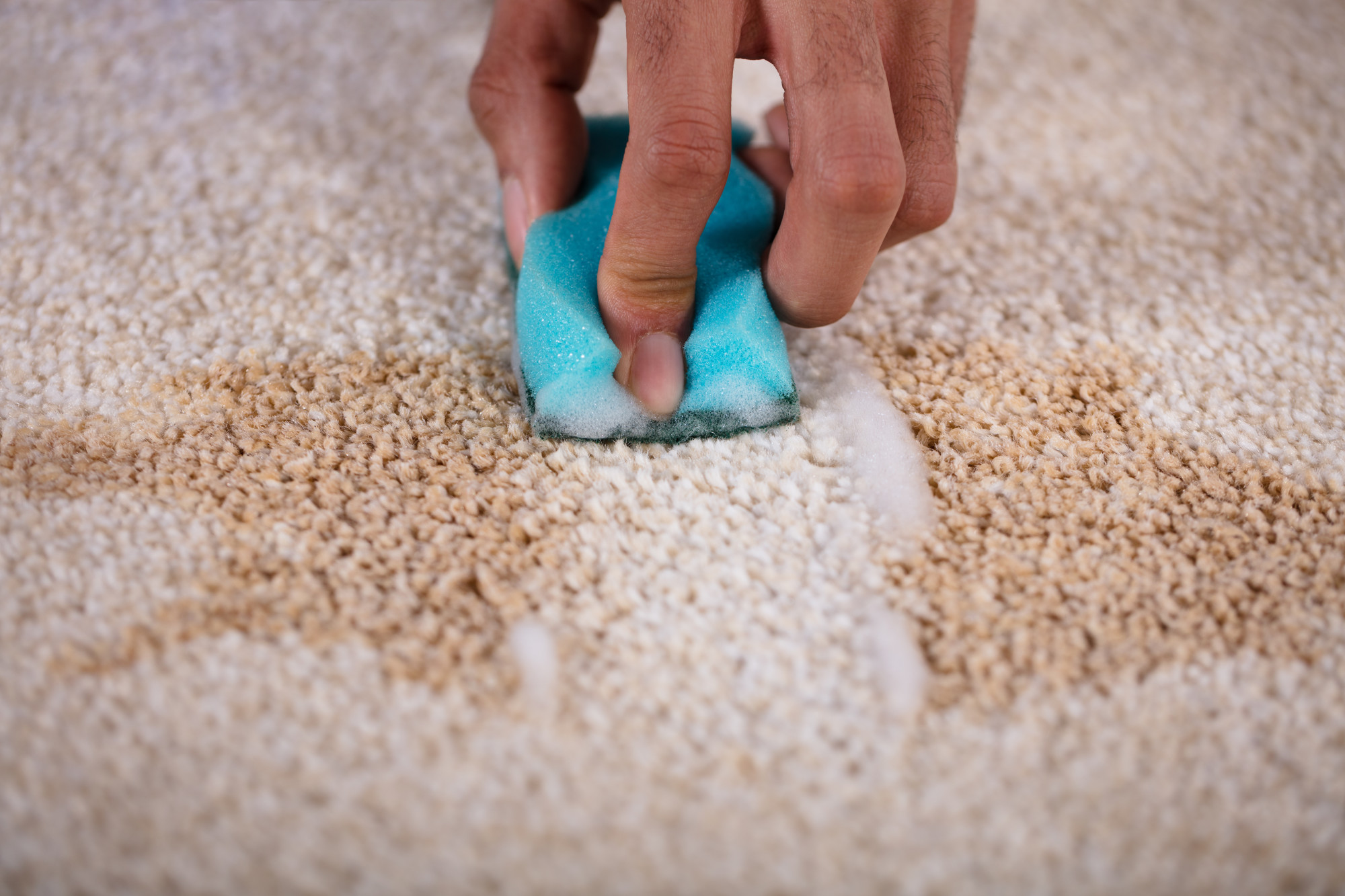 This Is How To Remove Old Stains From Carpet