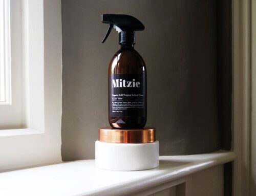 Smart Apartment Cleaning Solutions For Boise Renters