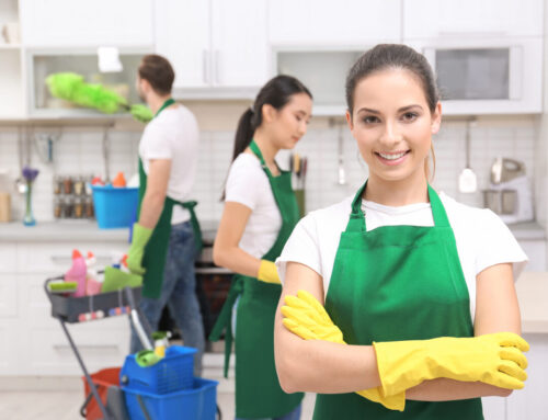 10 Reasons Why Regular Maid Service is a Game-Changer for Boise Homes