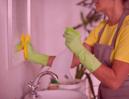 Top 5 Reasons to Choose Professional Cleaning Over DIY in Boise