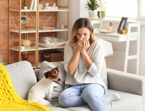 A Healthier Boise Home: The Role of Professional Cleaning in Allergy Reduction